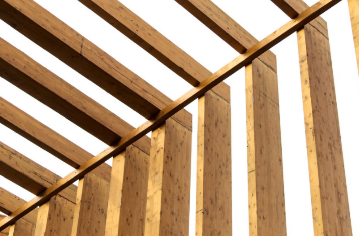 Pegamento WBP Contrachapado estructural de madera para encofrados